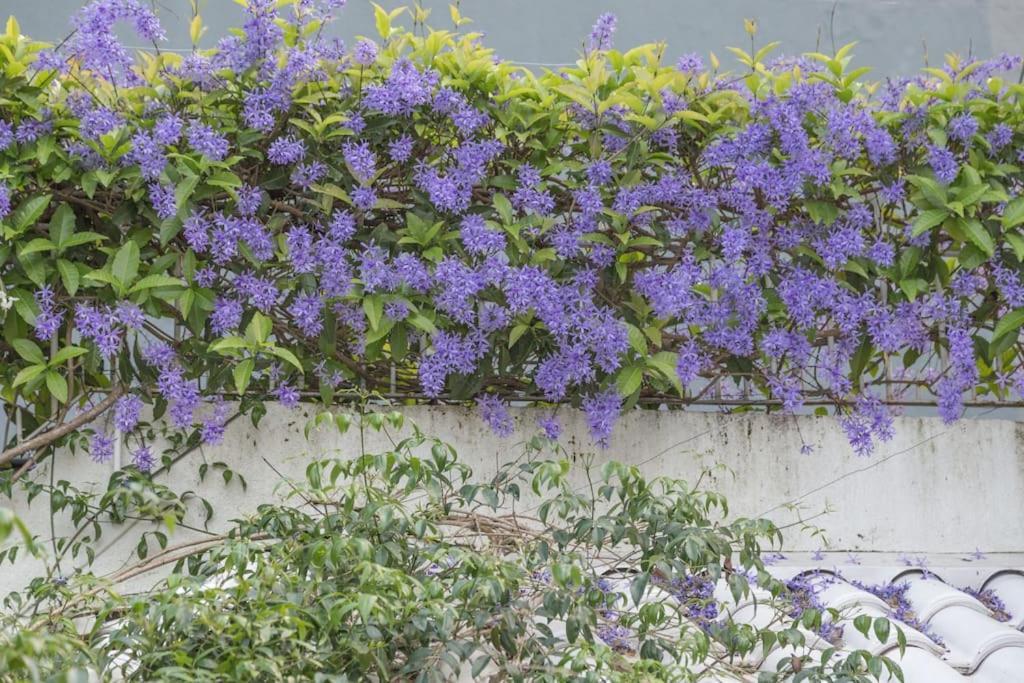 Morada Das Flores Porto Alegre Zewnętrze zdjęcie