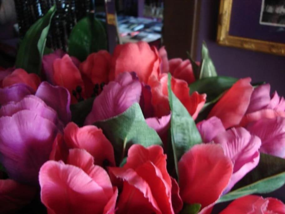 Morada Das Flores Porto Alegre Zewnętrze zdjęcie