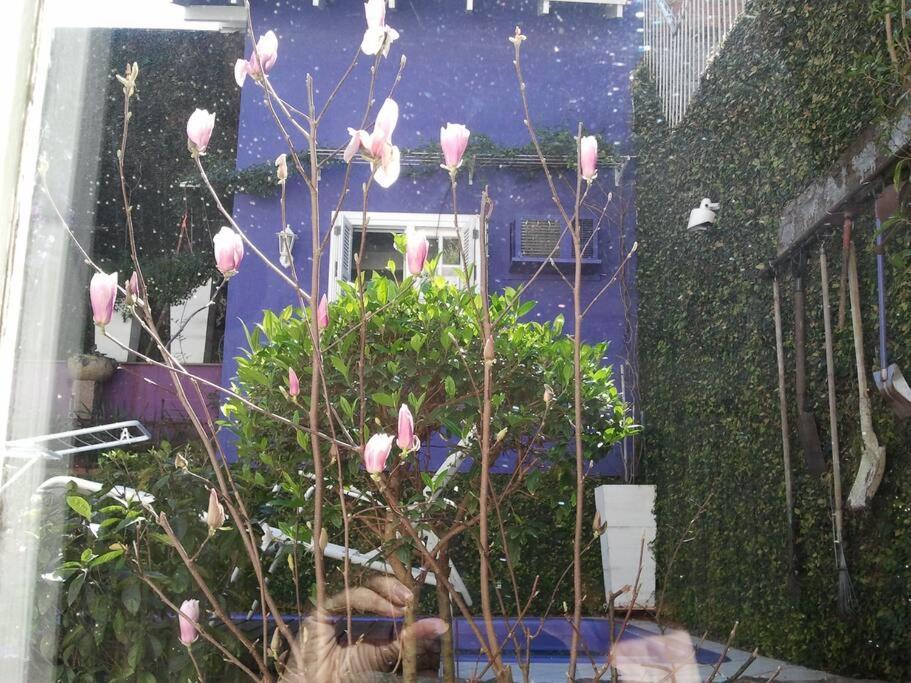 Morada Das Flores Porto Alegre Zewnętrze zdjęcie